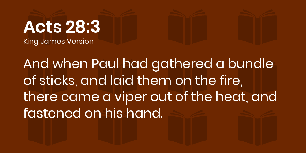 Acts 28:3-8 KJV - And when Paul had gathered a bundle of sticks, and laid  them on the fire, there came a viper out of the heat, and fastened on his  hand.
