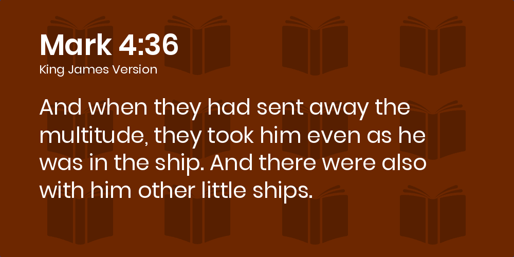 Mark 4:36 KJV - And when they had sent away the multitude, they took him  even as he was in the ship. And there were also with him other little ships.