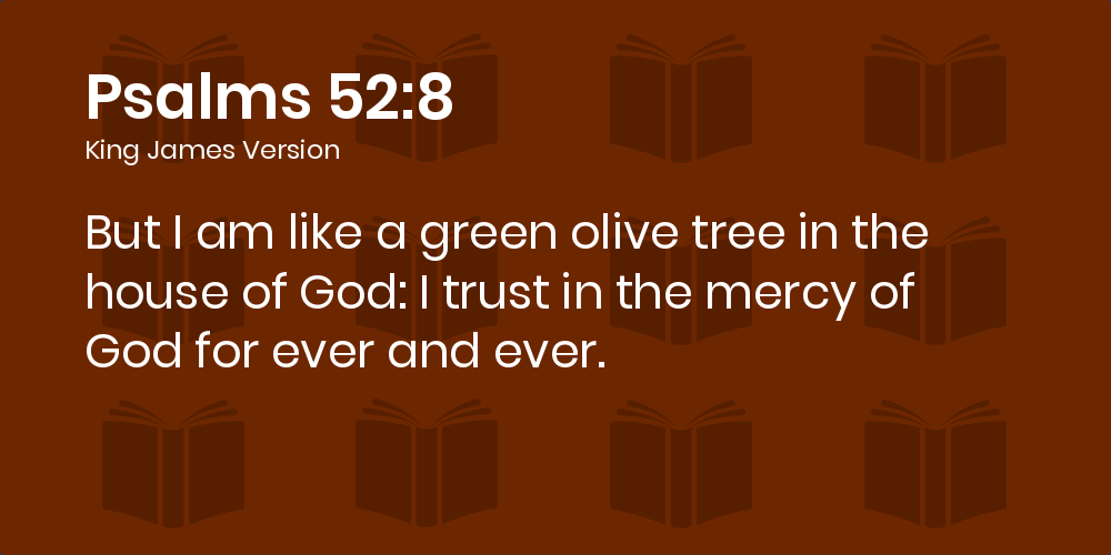 Psalms 52:8 KJV - But I am like a green olive tree in the house of ...